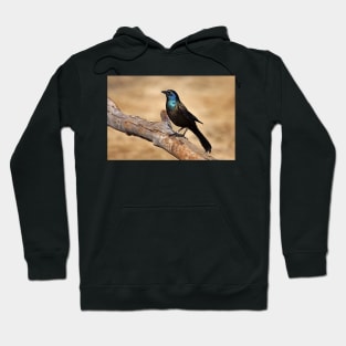 Grackle Hoodie